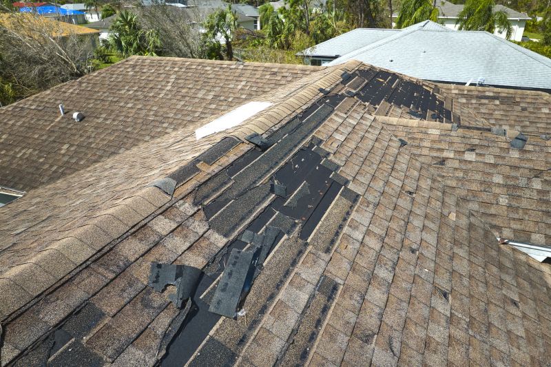 Complete Shingle Replacement